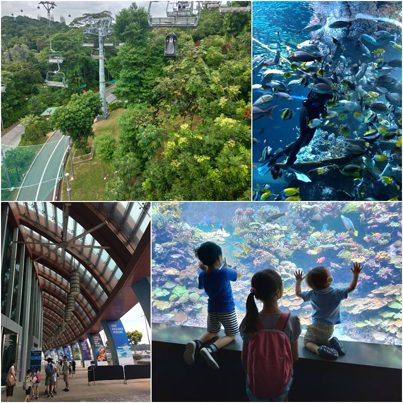 新加坡親子自由行~市區到聖淘沙交通、S.E.A.海洋館、空中吊椅＋斜坡滑車